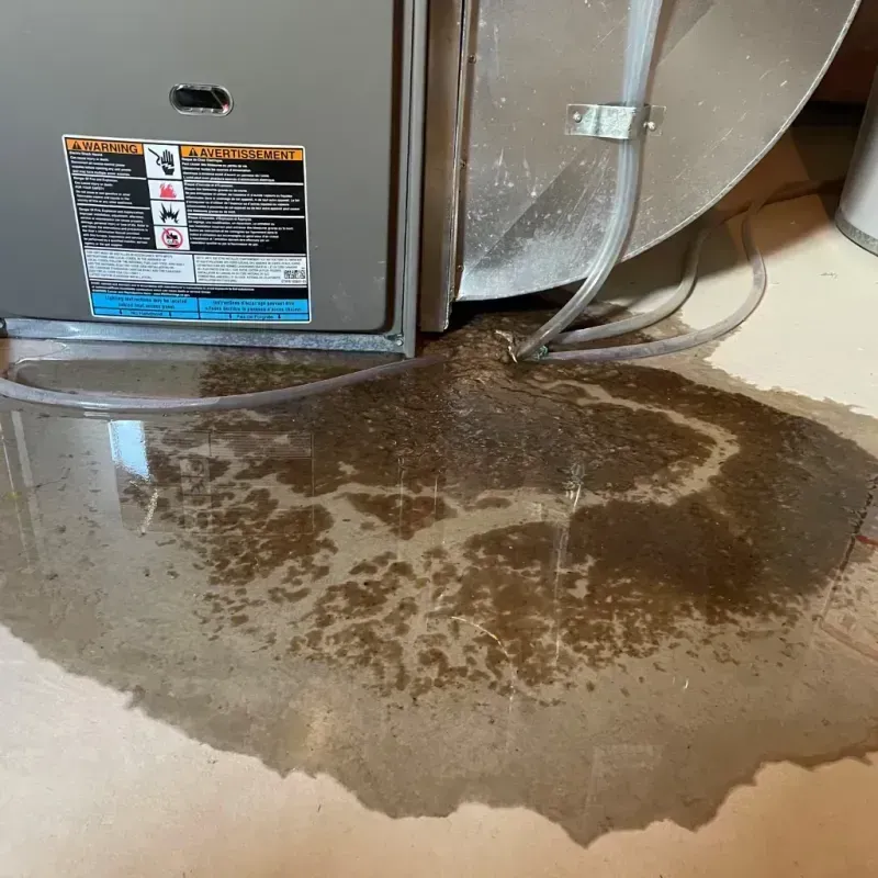 Appliance Leak Cleanup in Felton, CA